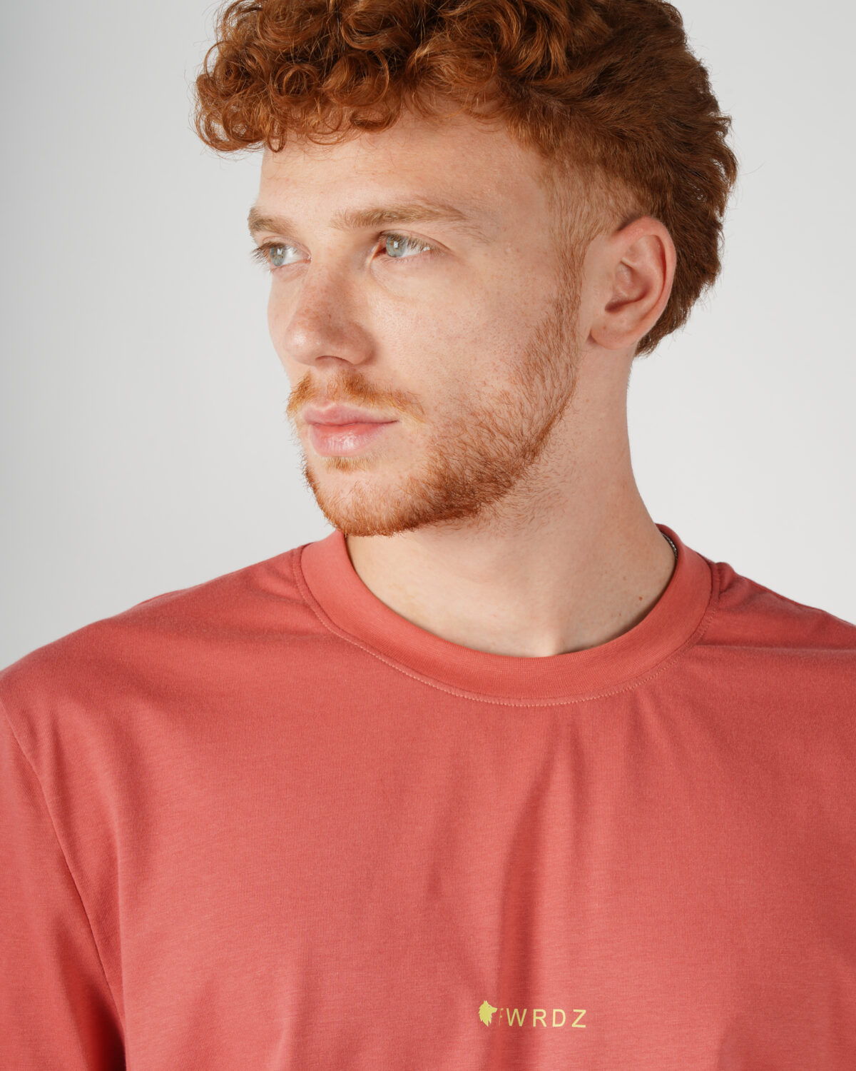 Cotton T-shirt - Image 5